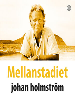 cover image of Mellanstadiet